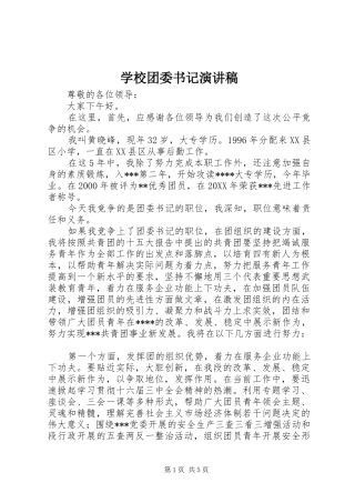 学校团委书记演讲稿