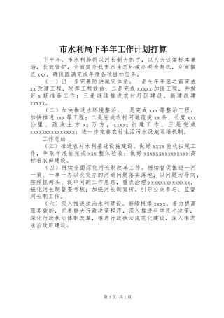 市水利局下半年工作计划打算