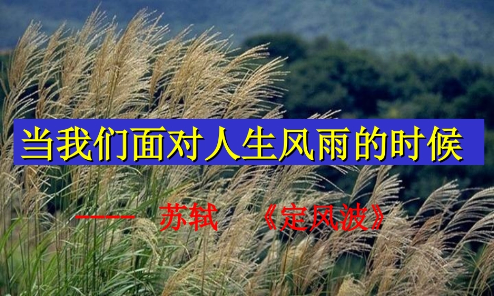 定风波优秀课件