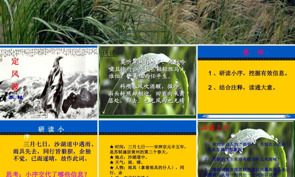 定风波优秀课件