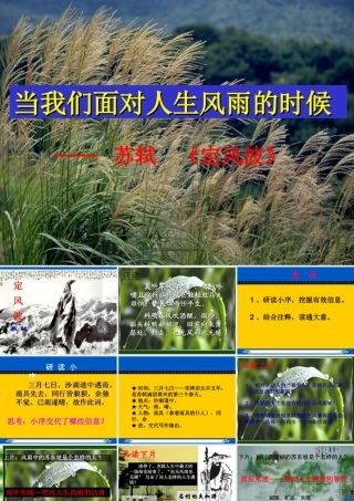 定风波优秀课件