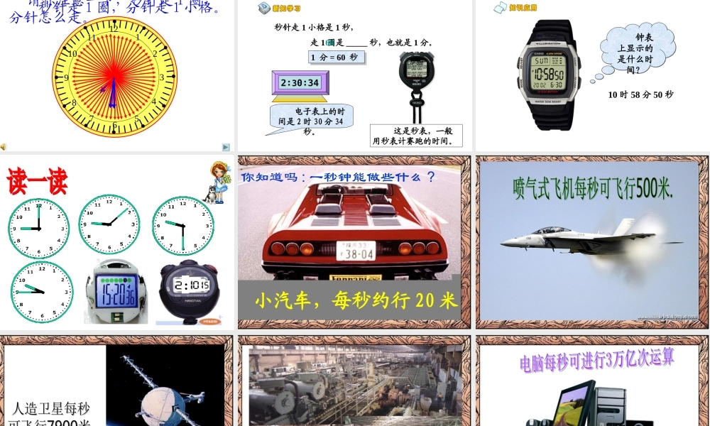 时分秒第一课时秒的认识