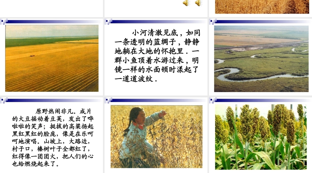 《北大荒的秋天》2