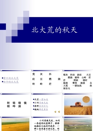 《北大荒的秋天》2