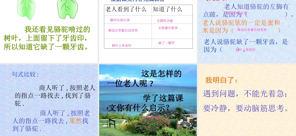 新课标人教版第五册语文找骆驼优质课件下载3