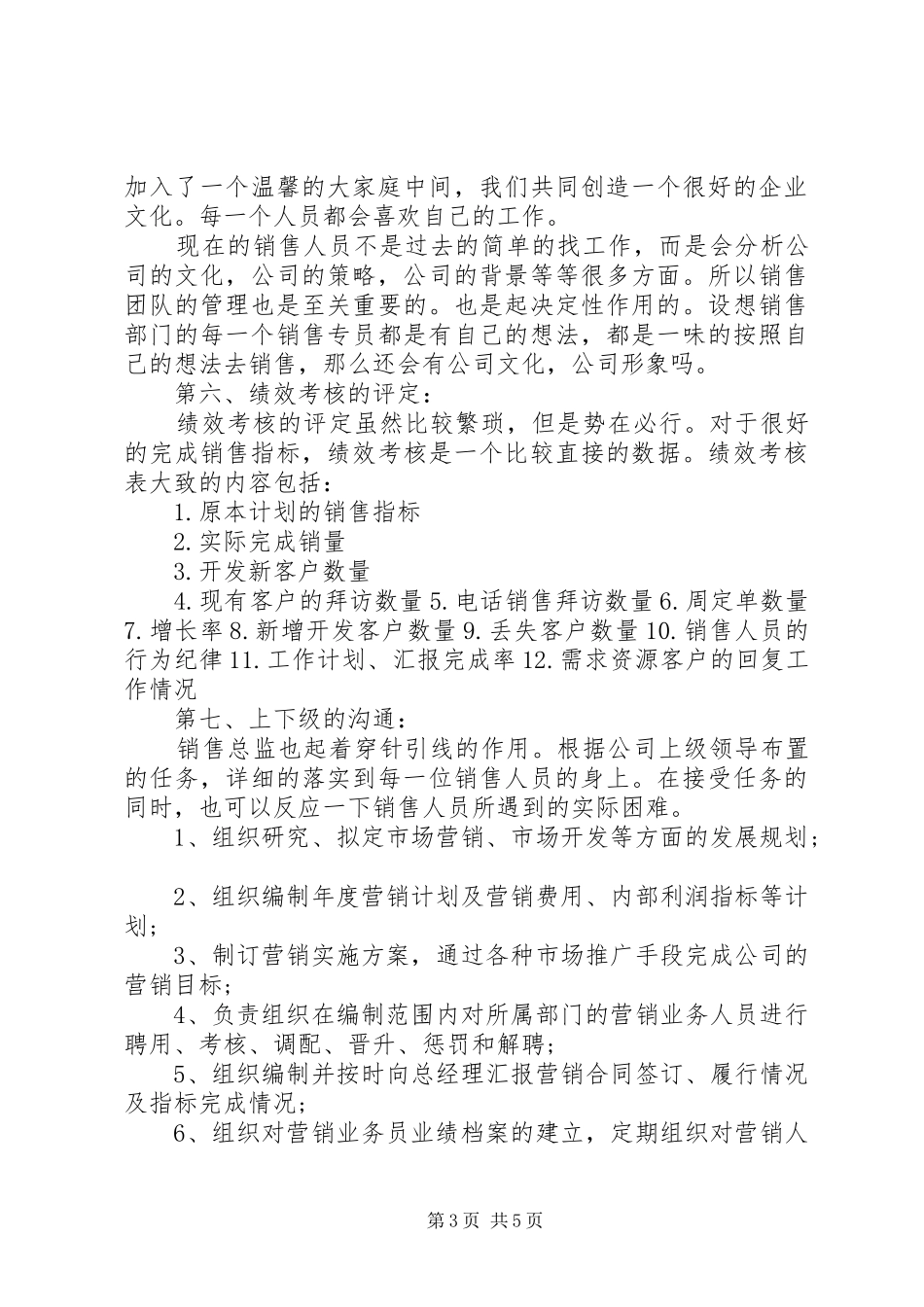 销售总监工作计划表_第3页