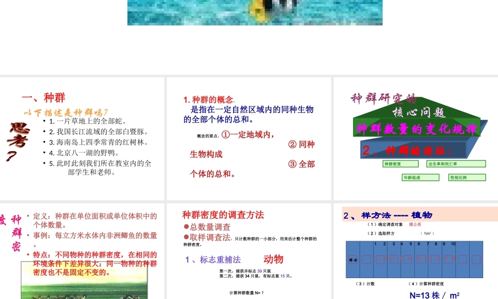 生物：41《种群的特征》课件(新人教版必修3)(2)