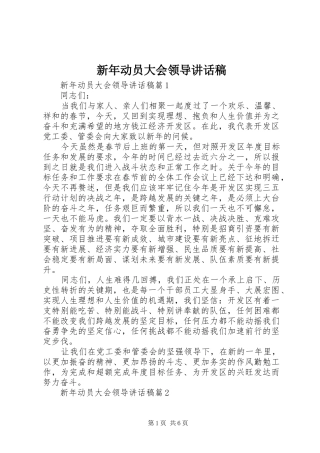新年动员大会领导讲话稿