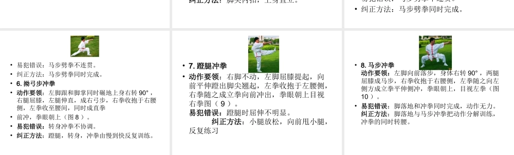 武术初级长拳第一路