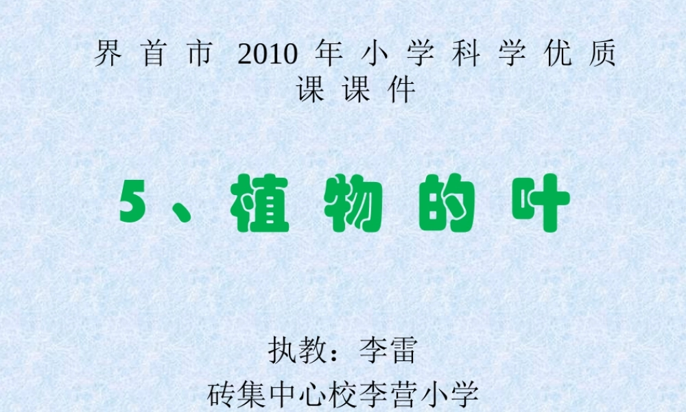 植物的叶李雷