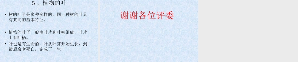 植物的叶李雷