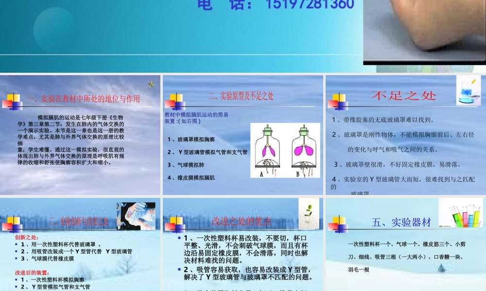 模拟膈肌运动实验模型改进