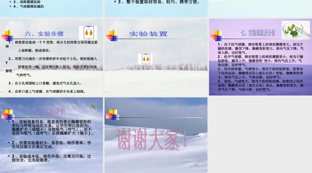 模拟膈肌运动实验模型改进