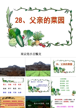 《父亲的菜园》课件