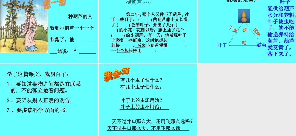 我要的是葫芦[1]11