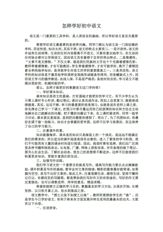 怎样学好初中语文