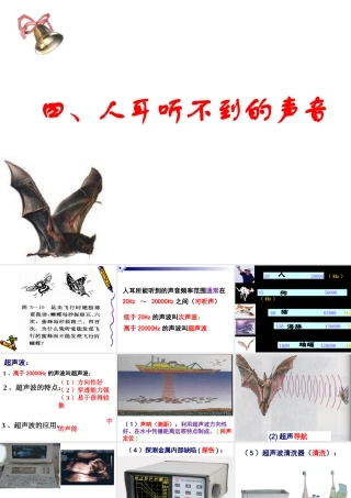 超声波和次声波