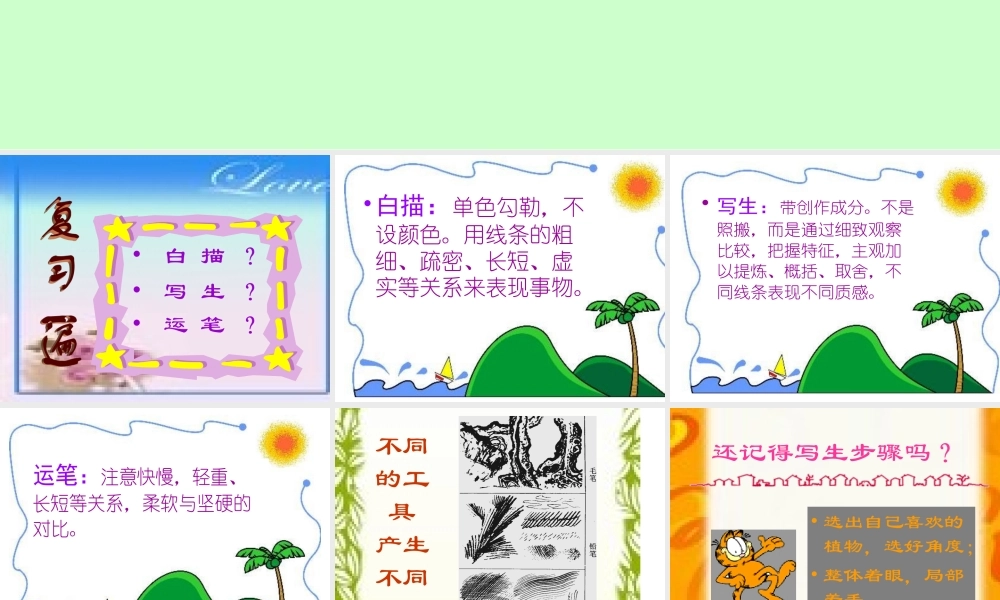 盆栽植物(线描写生画)