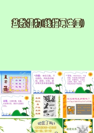 盆栽植物(线描写生画)