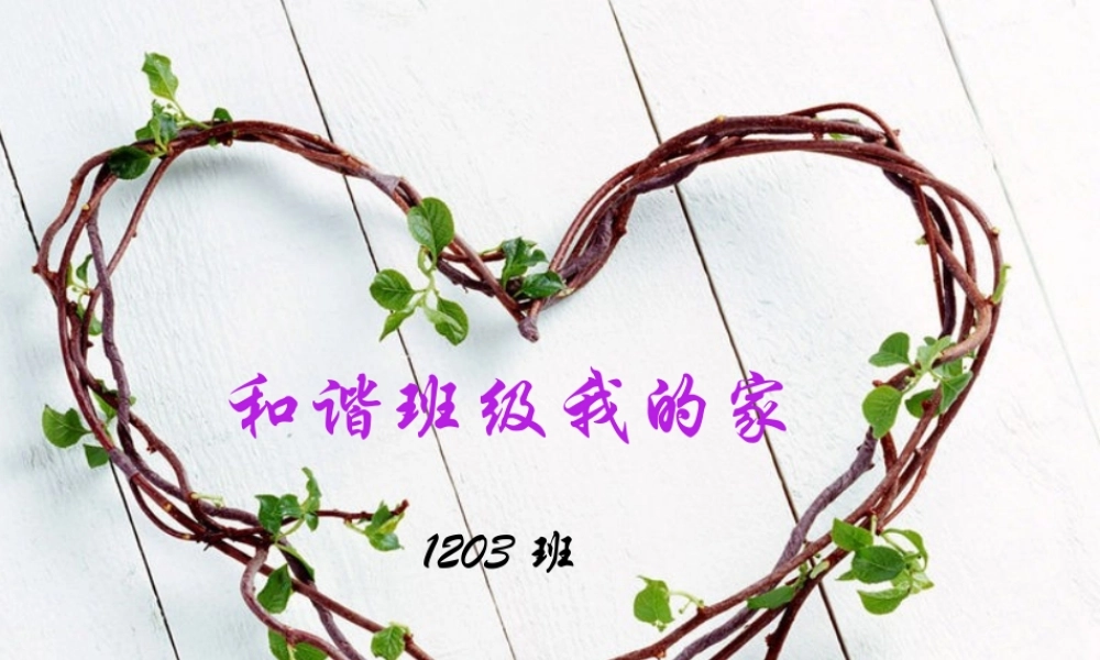 和谐班级我的家1(2)