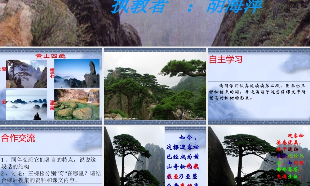 黄山奇松课件(苏教版)