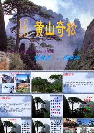黄山奇松课件(苏教版)