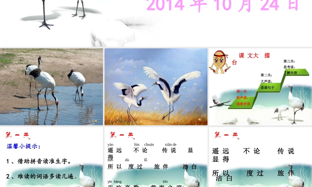 美丽的丹顶鹤课件韩梅改