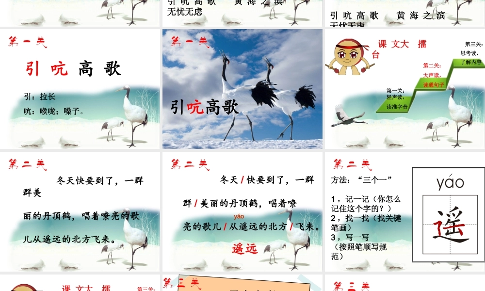 美丽的丹顶鹤课件韩梅改