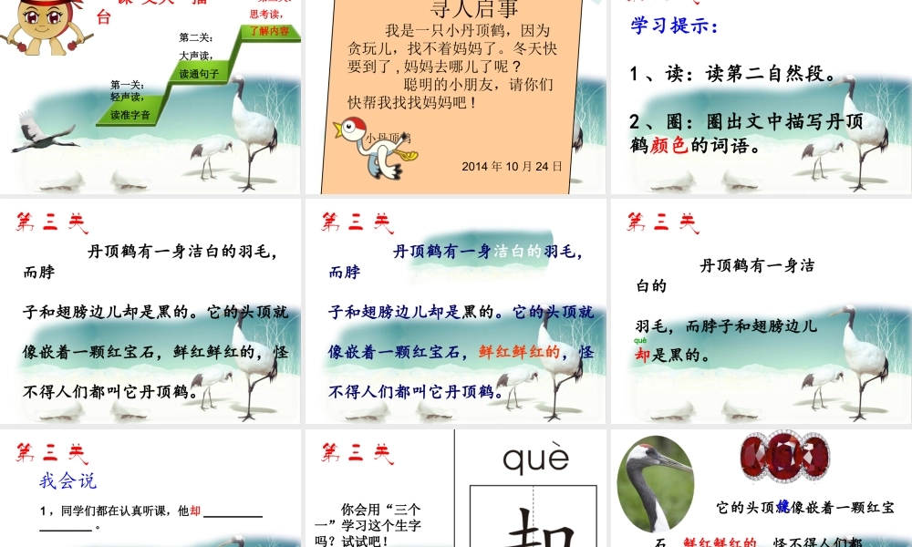 美丽的丹顶鹤课件韩梅改