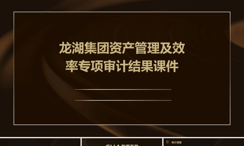 龙湖集团资产管理及效率专项审计结果课件