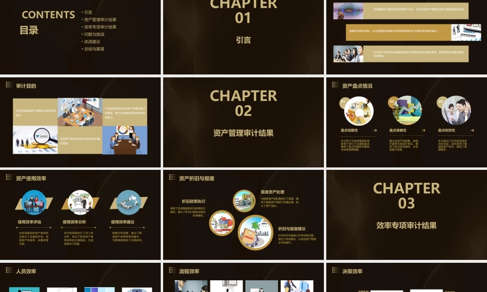 龙湖集团资产管理及效率专项审计结果课件