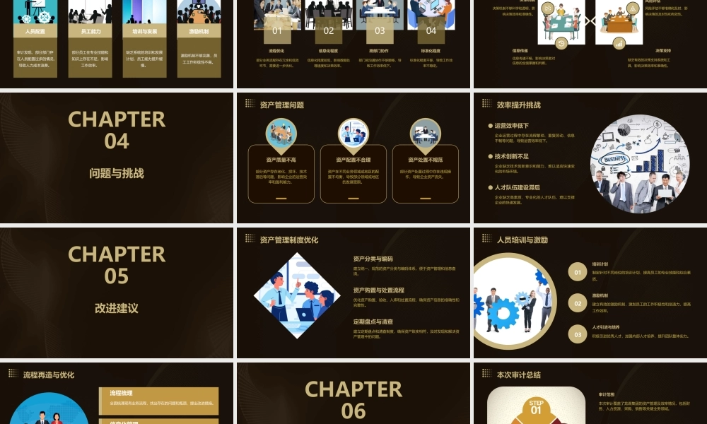 龙湖集团资产管理及效率专项审计结果课件