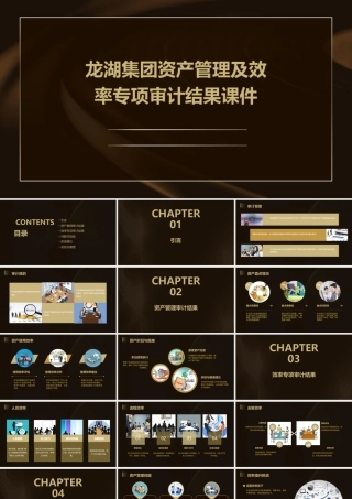 龙湖集团资产管理及效率专项审计结果课件