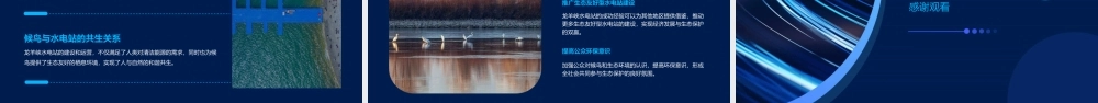 龙羊峡水电站成了候鸟的乐园课件