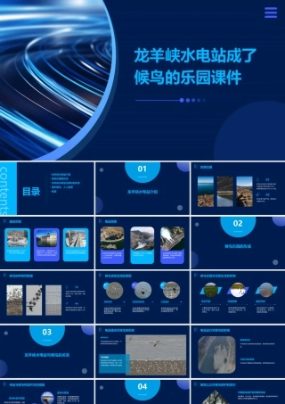 龙羊峡水电站成了候鸟的乐园课件