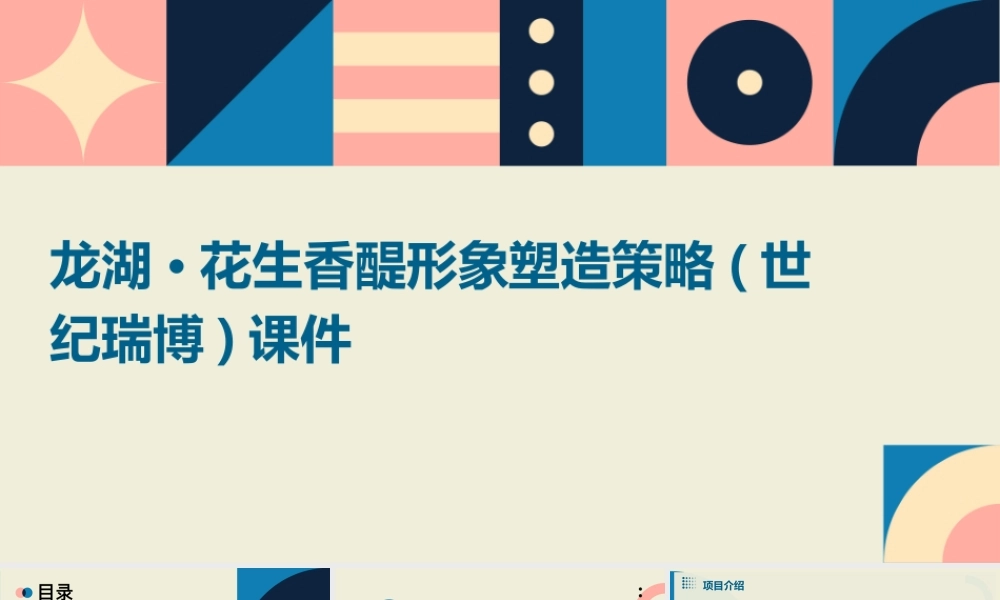 龙湖·花生香醍形象塑造策略(世纪瑞博)课件