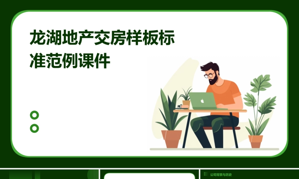 龙湖地产交房样板标准范例课件