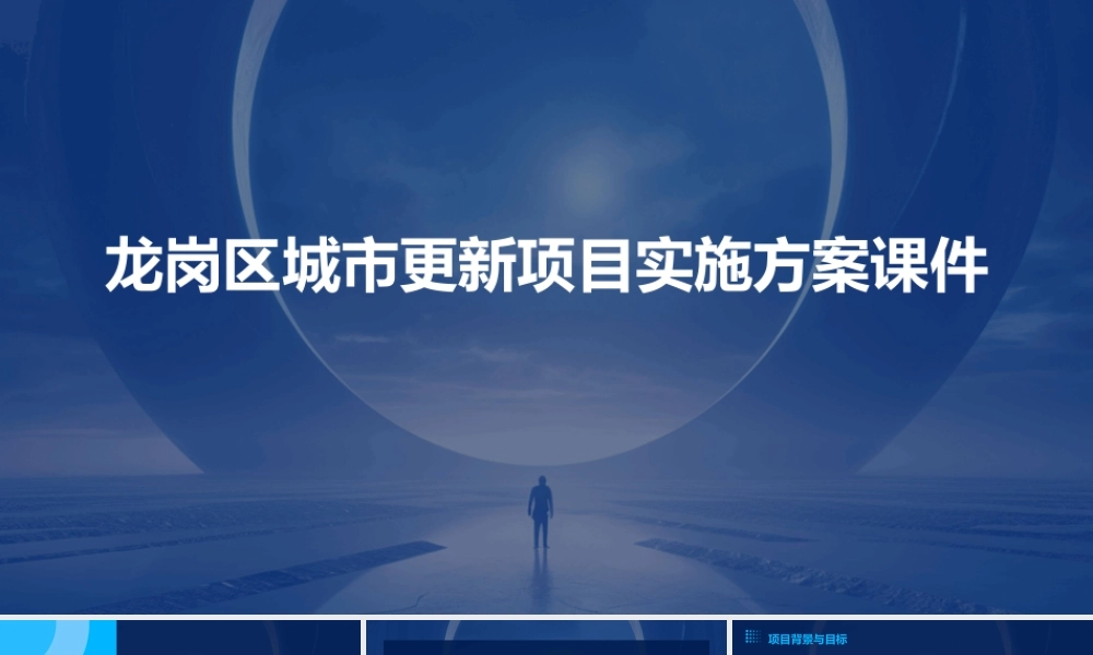 龙岗区城市更新项目实施方案课件