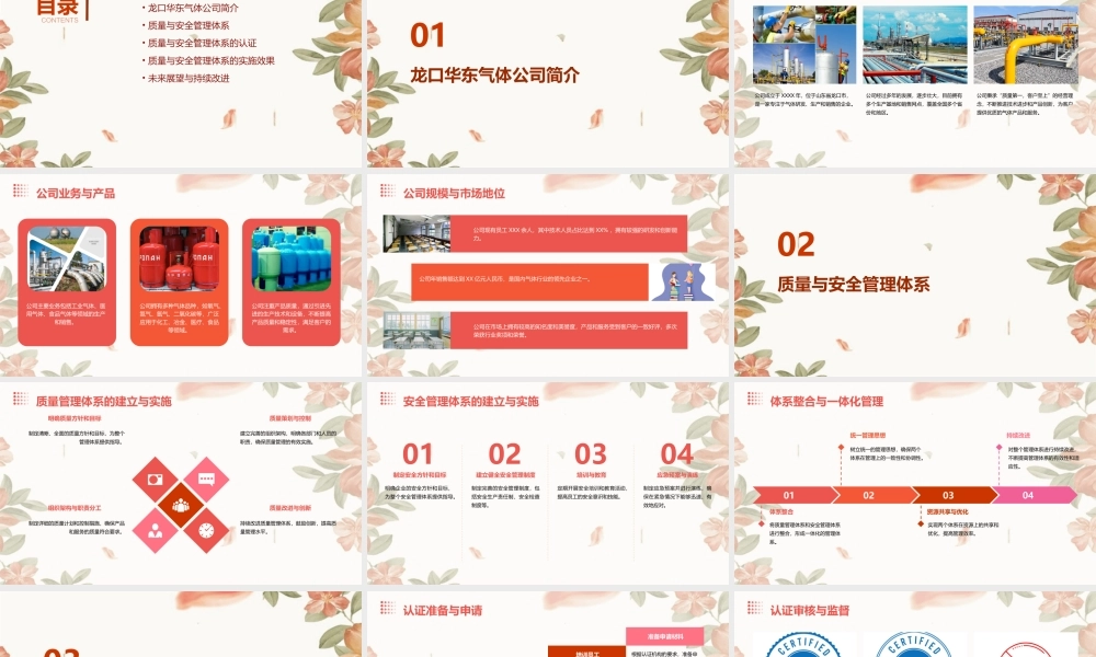 龙口华东气体双体系演示文稿课件