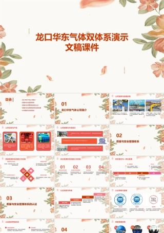 龙口华东气体双体系演示文稿课件