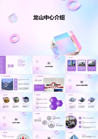 龙山中心介绍课件