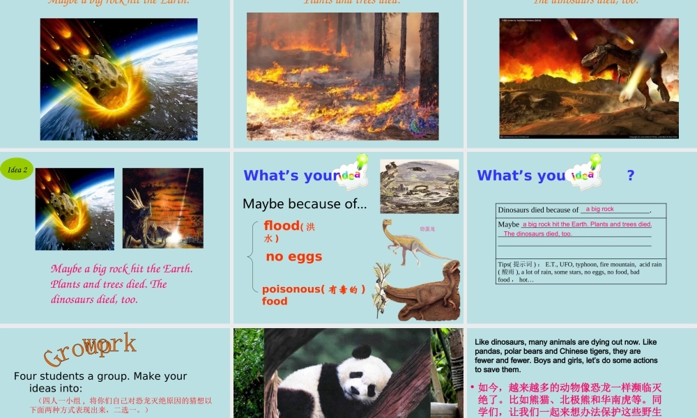 小学英语深港版Book9Unit5Dinosaurs