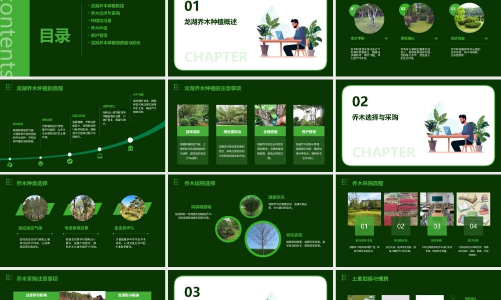 龙湖乔木种植过程标准课件