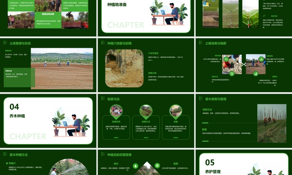 龙湖乔木种植过程标准课件