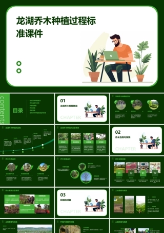 龙湖乔木种植过程标准课件