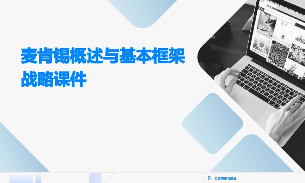 麦肯锡概述与基本框架战略课件