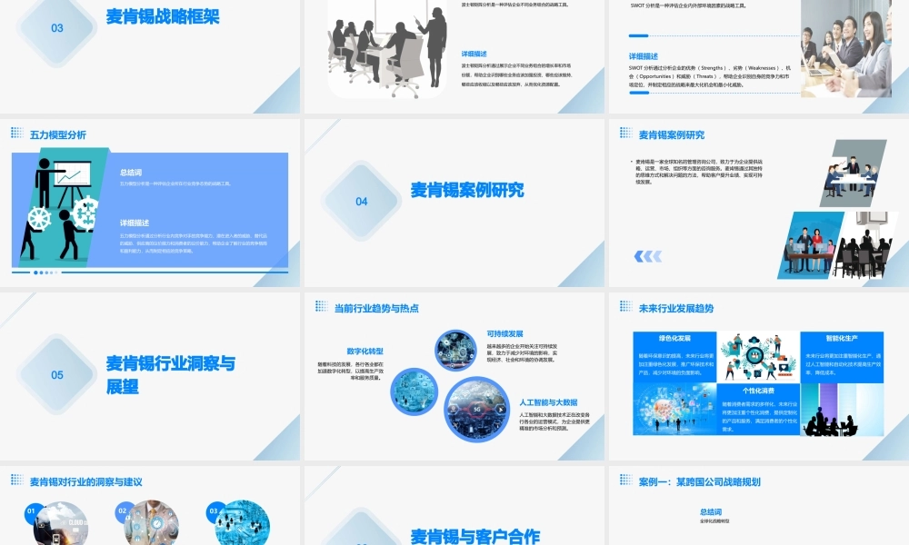 麦肯锡概述与基本框架战略课件