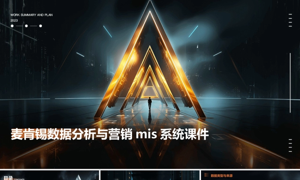 麦肯锡数据分析与营销MIS系统课件