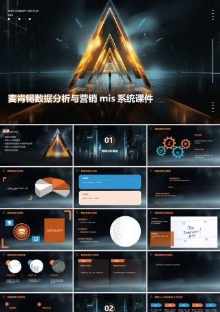 麦肯锡数据分析与营销MIS系统课件