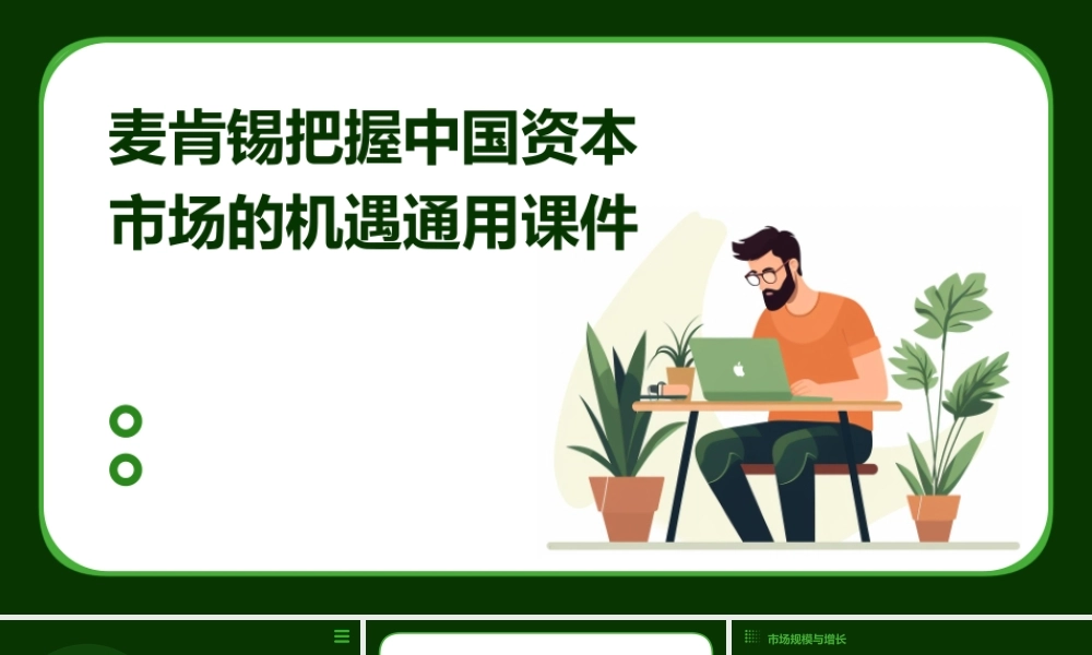 麦肯锡把握中国资本市场的机遇通用课件